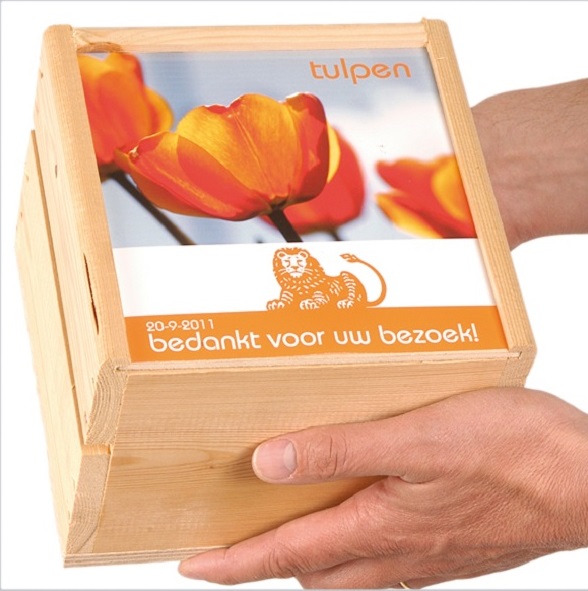 Kiste mit Blumenzwiebeln | Öko Geschenk